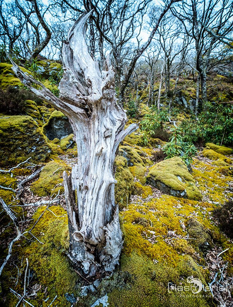 03 Ardnamurchan 088