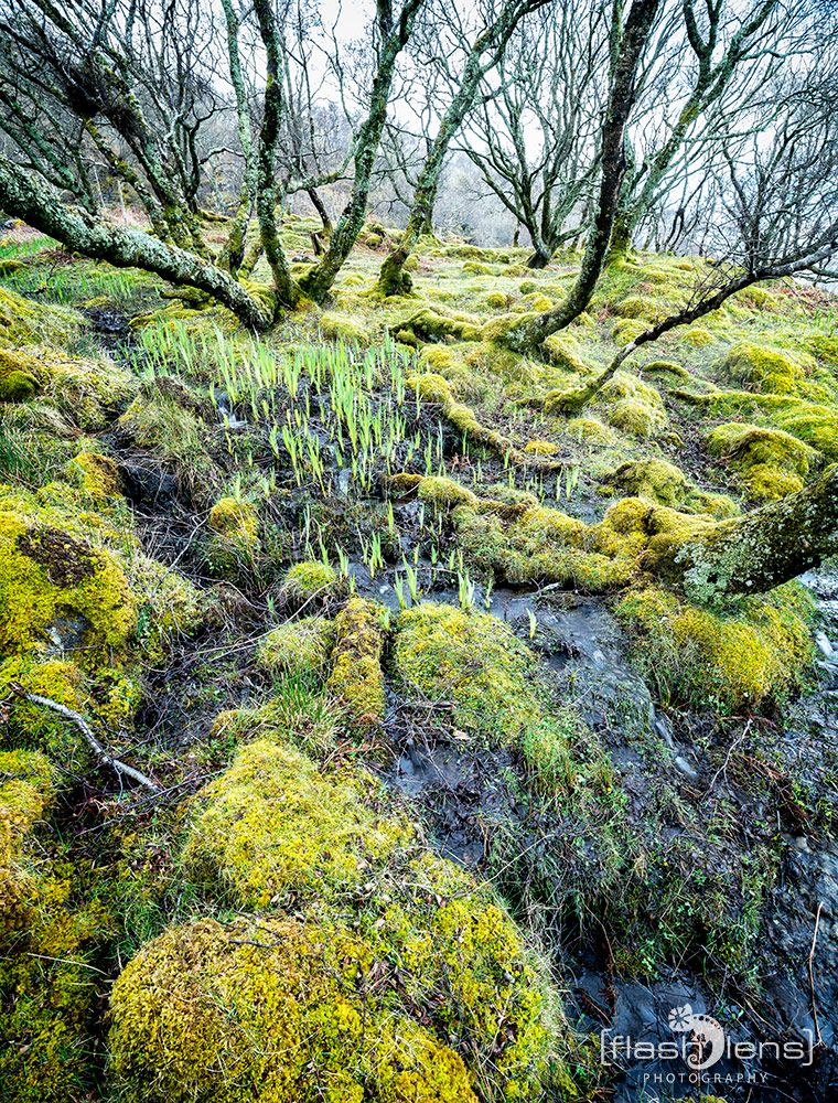 03 Ardnamurchan 089