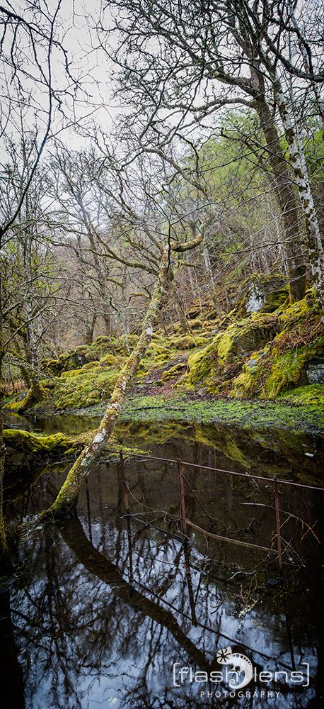 03 Ardnamurchan 090