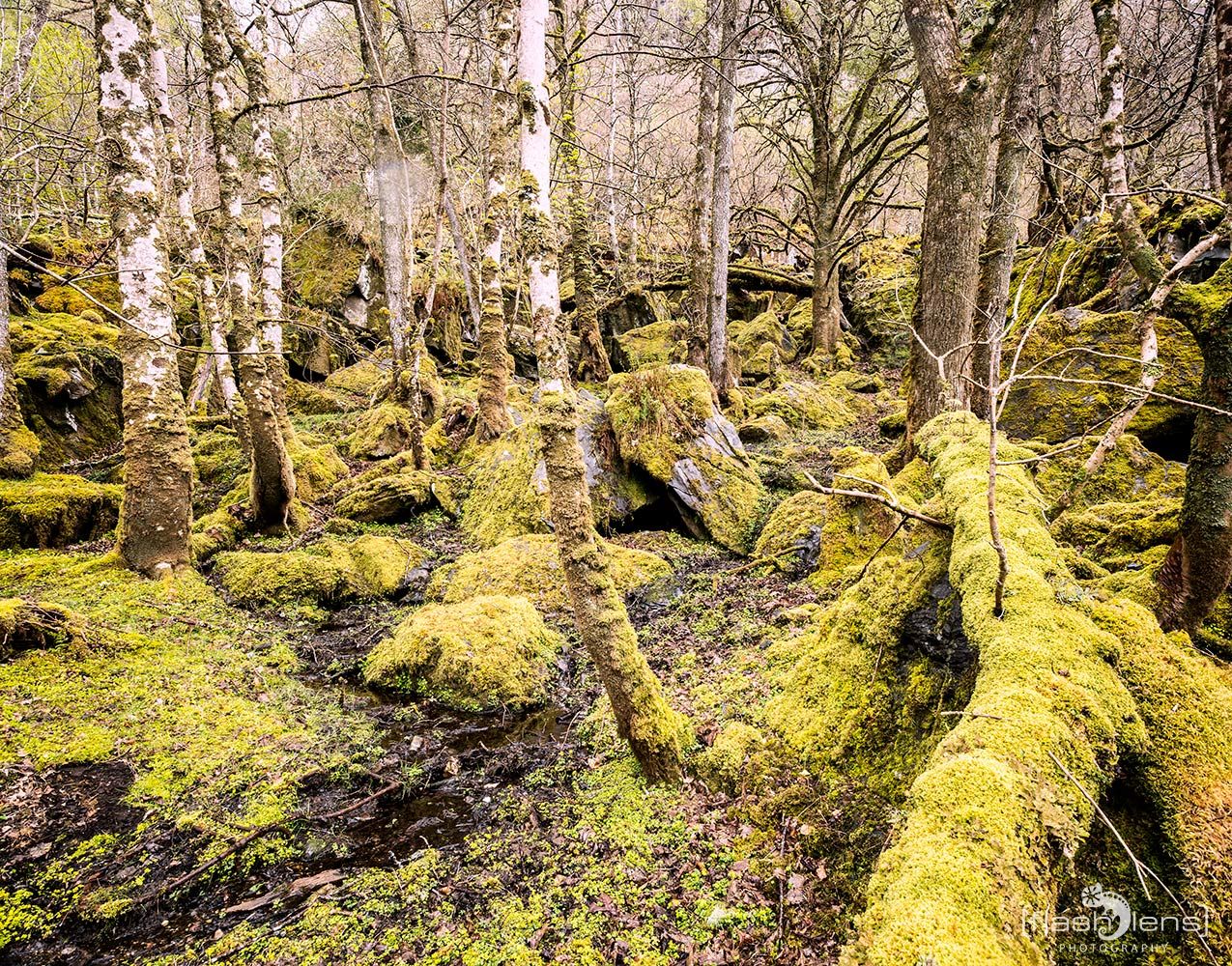 03 Ardnamurchan 093