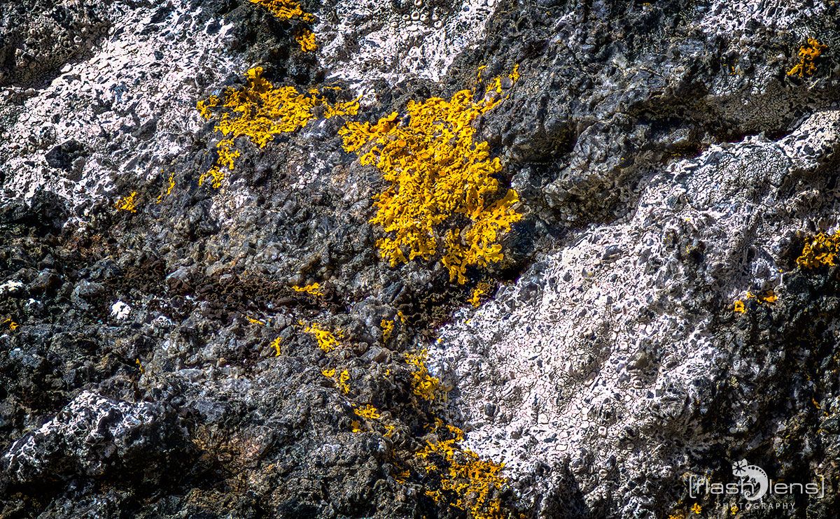 03 Ardnamurchan 101