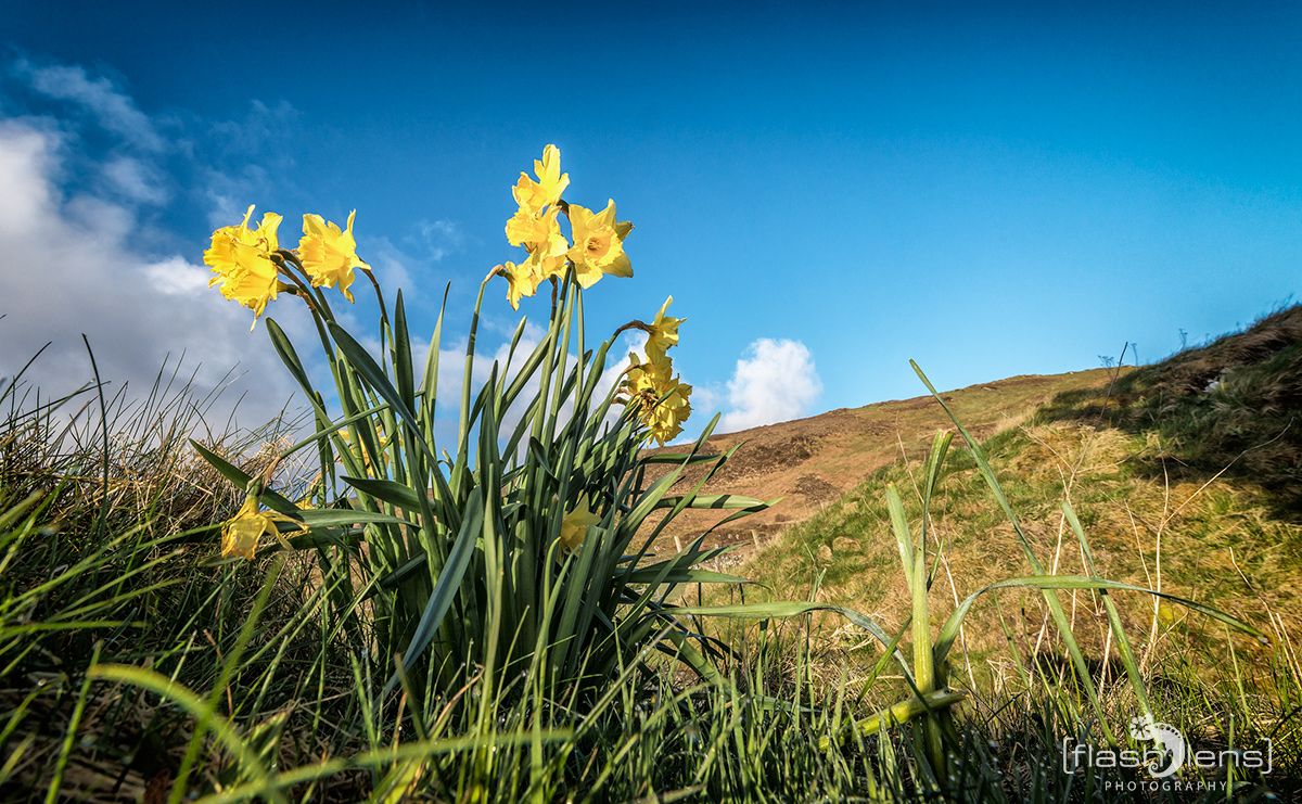 03 Ardnamurchan 108
