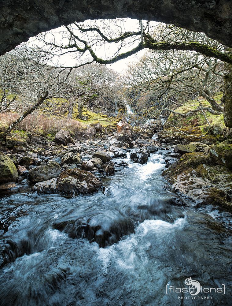 04 Mull 029