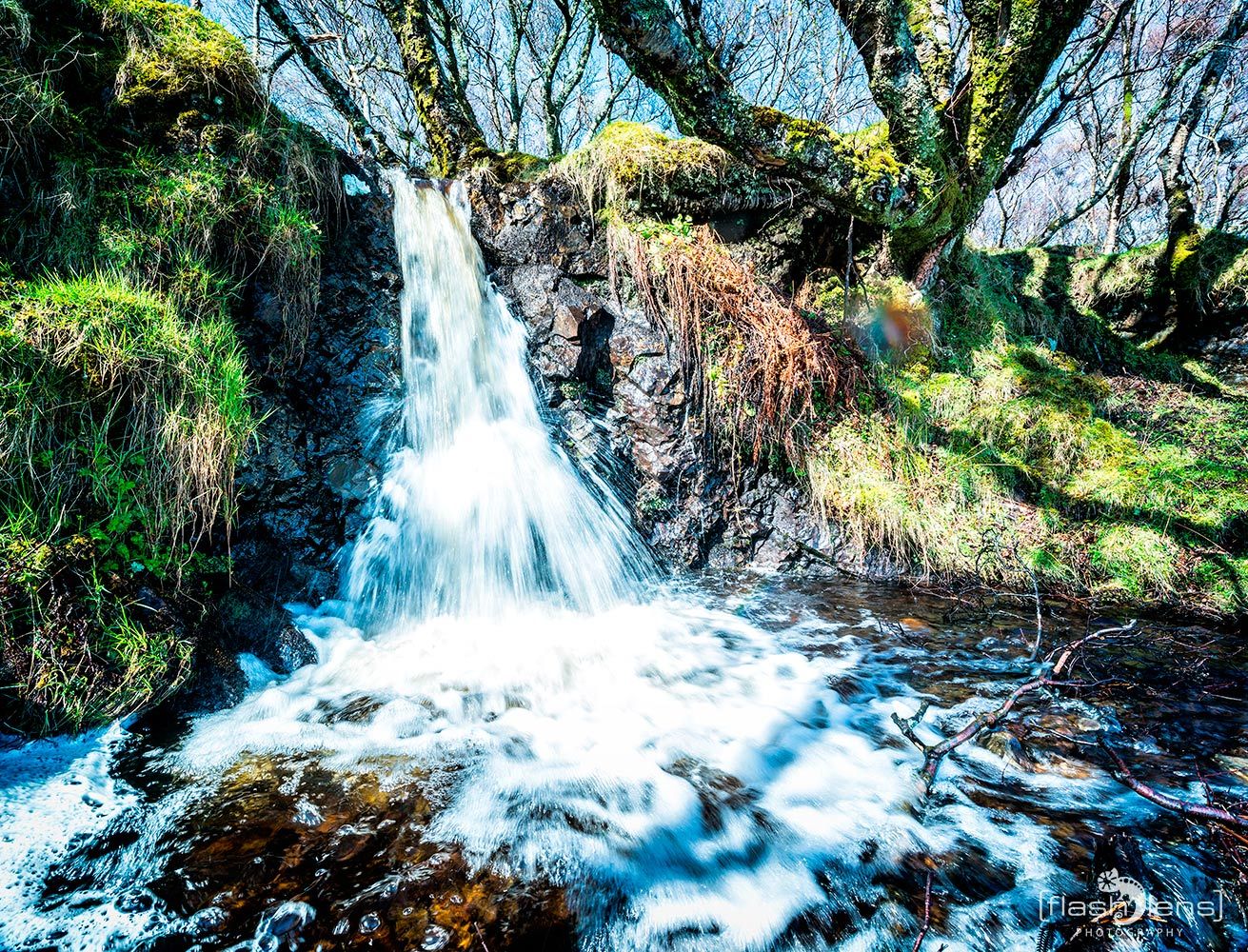 04 Mull 031