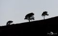 03 Castles 024