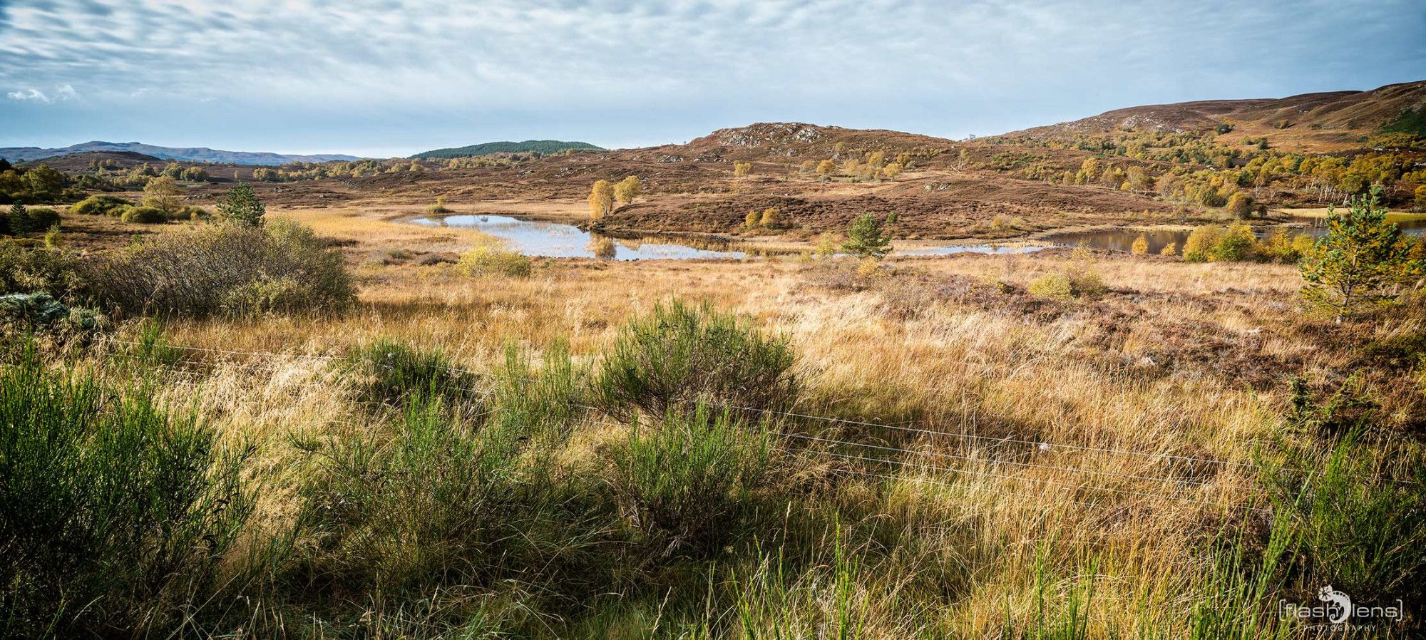 Schottland   Highlands 038