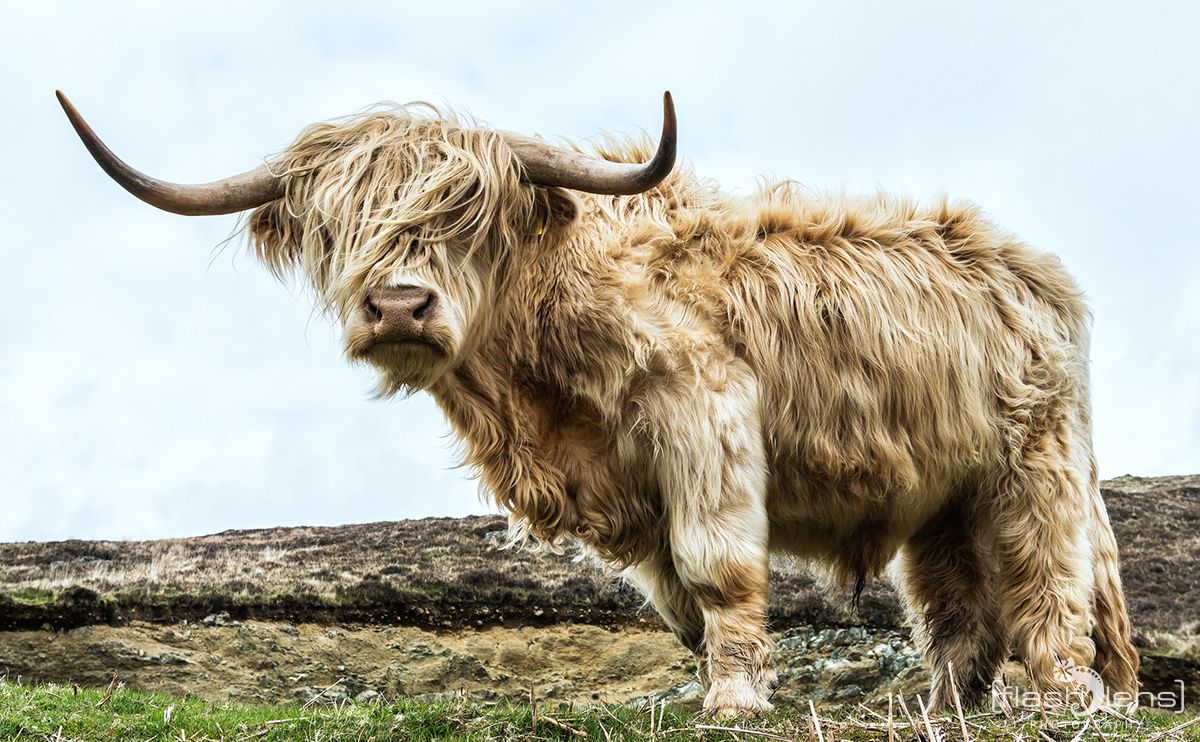 03 Highlands 026