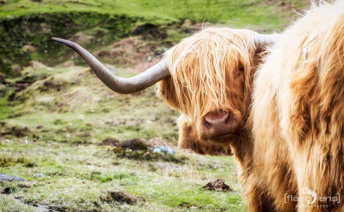 03 Highlands 030