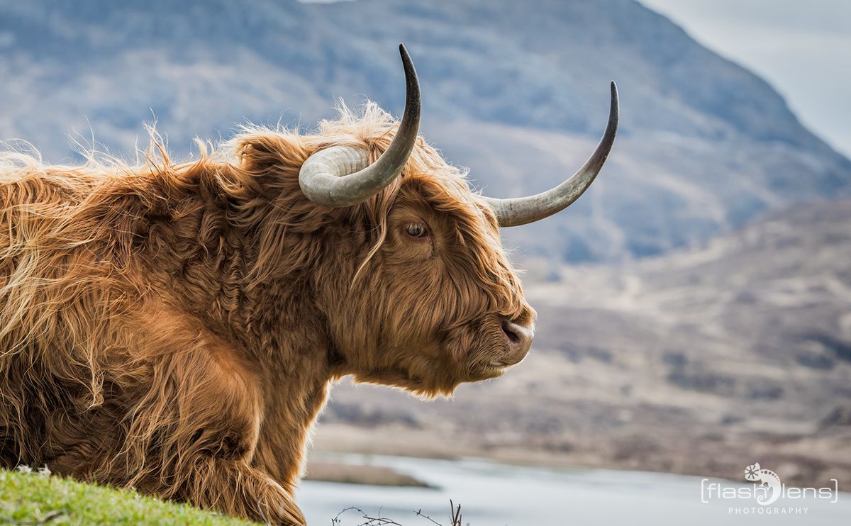 03 Highlands 034