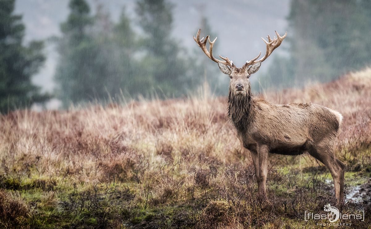 03 Highlands 041