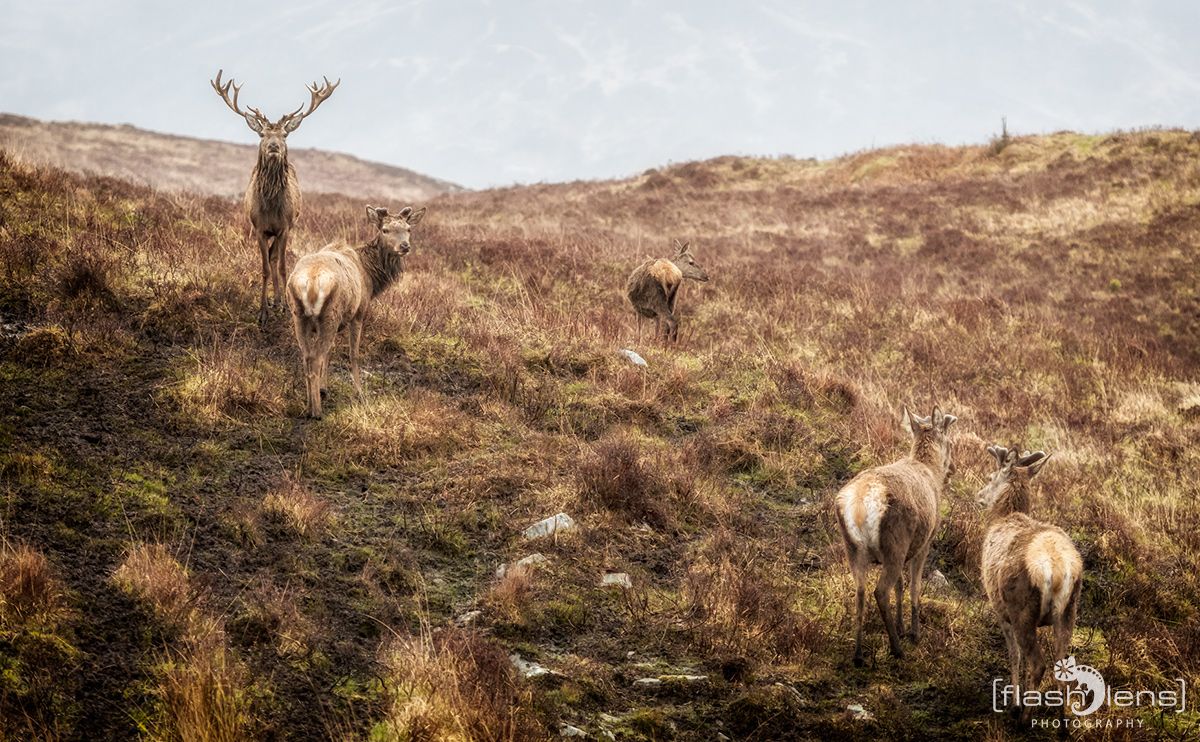 03 Highlands 042