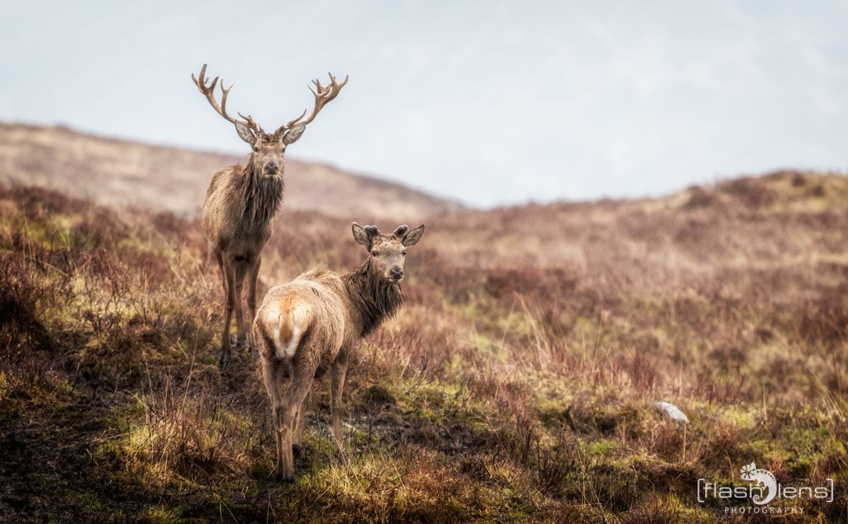 03 Highlands 043