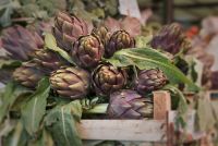 Venedig 2013 024