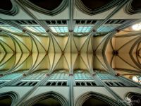 Pulverm  hlental 051