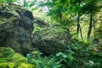 Rund um Schloss Homburg 006