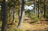 Nordfriesland 2012 021 