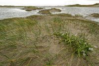 Nordfriesland 2012 029 