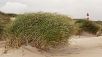 Nordfriesland 2012 037 
