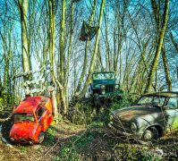 Autoskulptuenpark 001