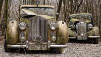 Autoskulptuenpark 011