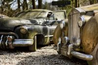 Autoskulptuenpark 013