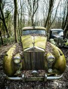 Autoskulptuenpark 014