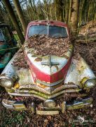 Autoskulptuenpark 016