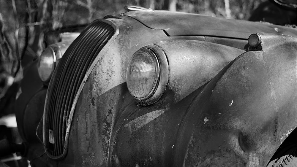 Autoskulptuenpark 024