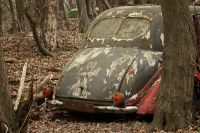 Autoskulptuenpark 027