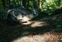 Autoskulptuenpark 028