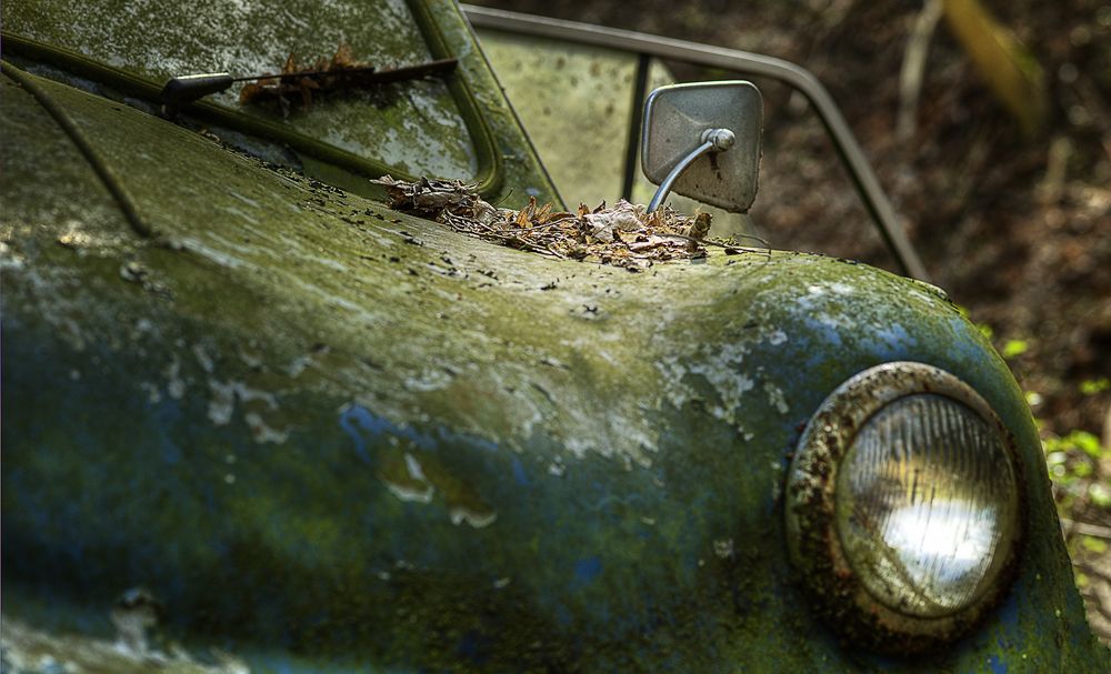 Autoskulptuenpark 029