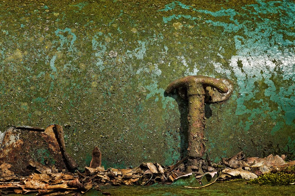 Autoskulptuenpark 042