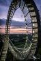 Tiger and Turtle 007