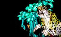 Chinese Light Festival 004