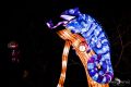 Chinese Light Festival 016