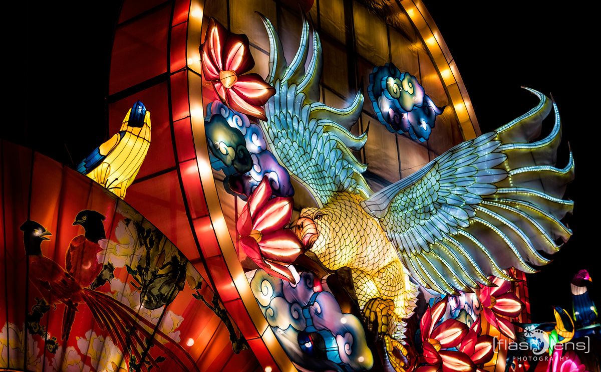 Chinese Light Festival 018