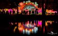 Chinese Light Festival 023