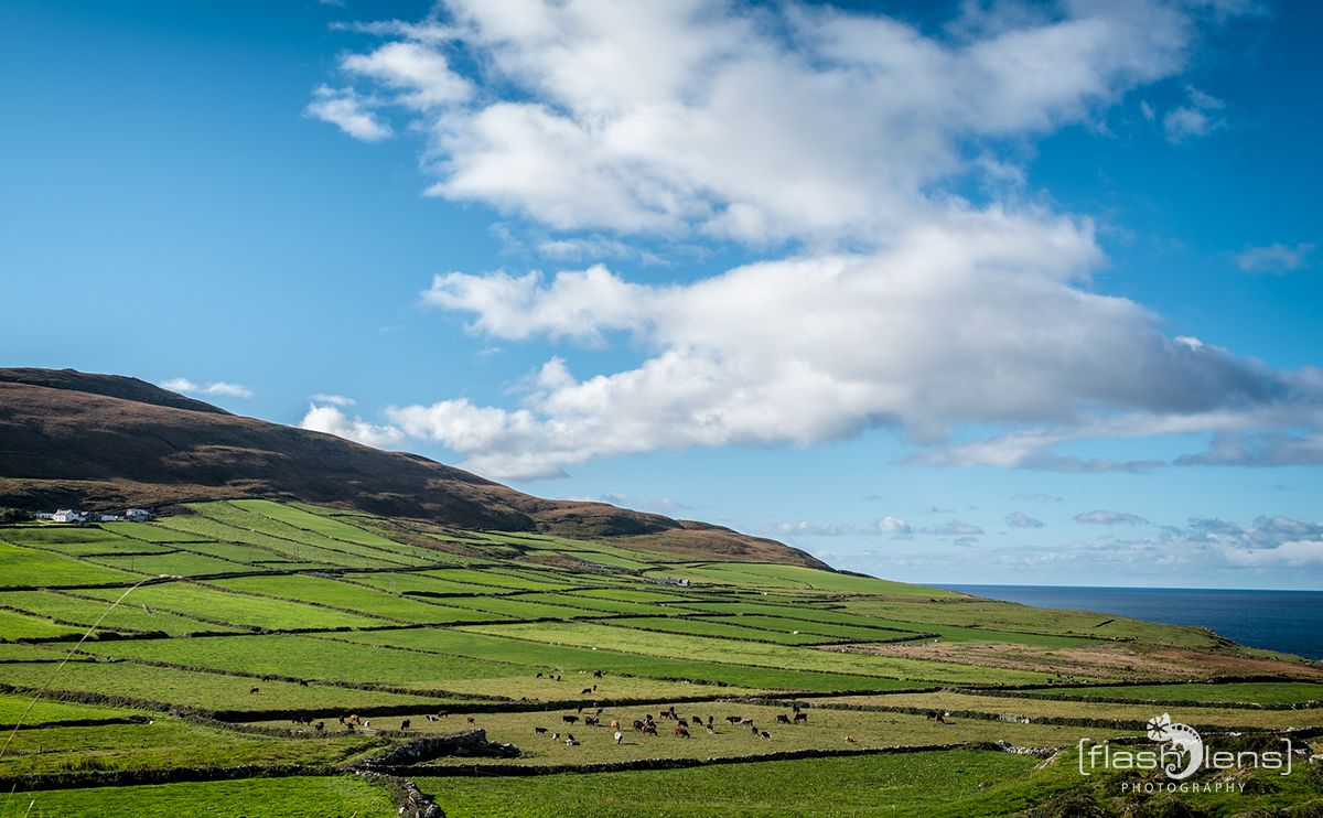 Fotoreise Irland 154