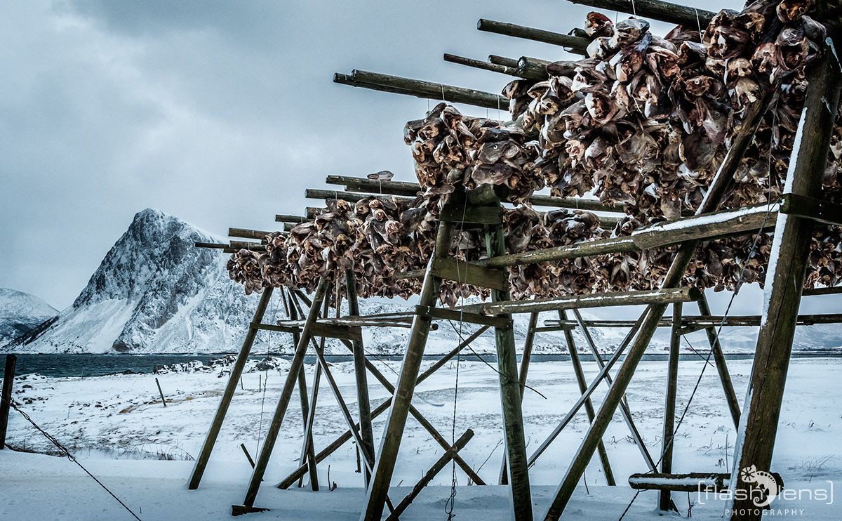 Fotoreise Lofoten 066