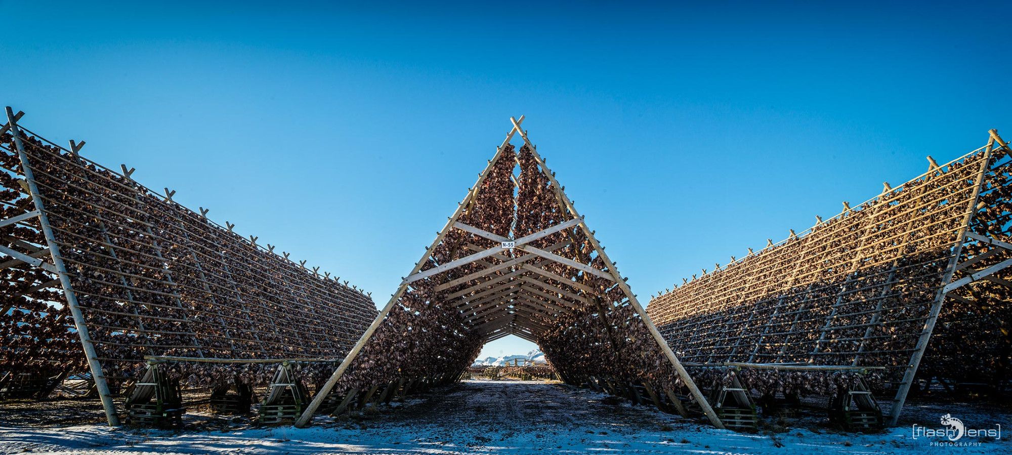 Fotoreise Lofoten 093