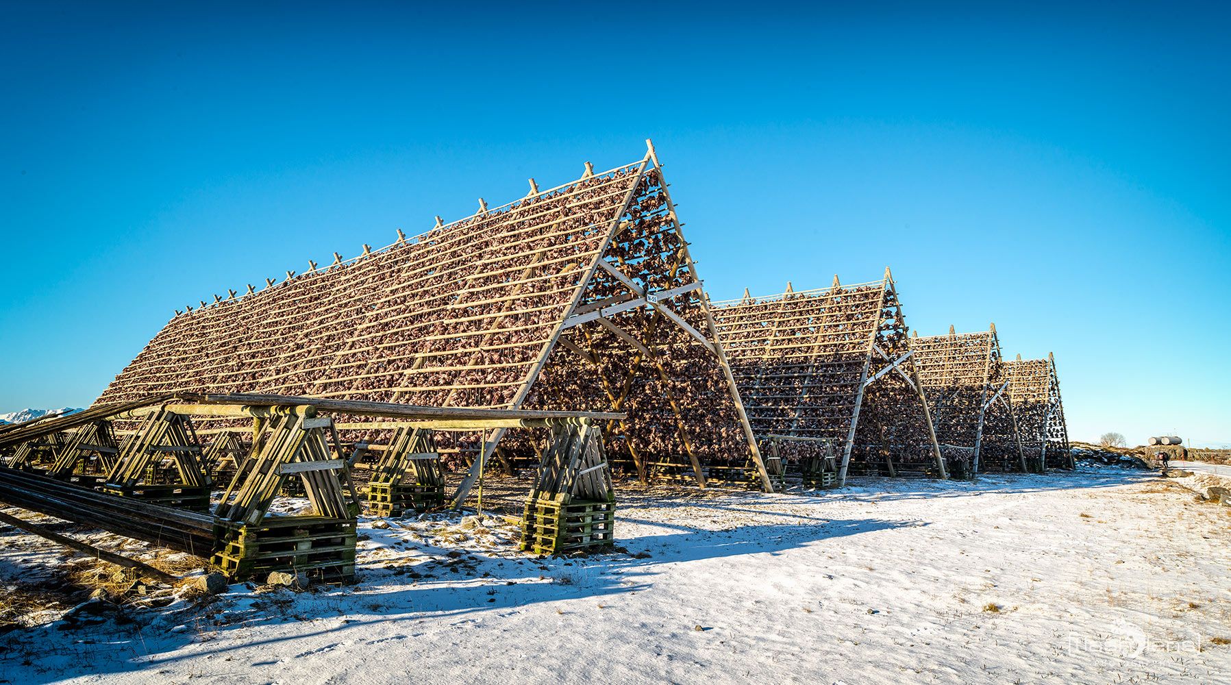 Fotoreise Lofoten 094