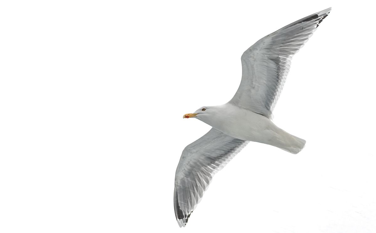 Fotoreise Lofoten 152