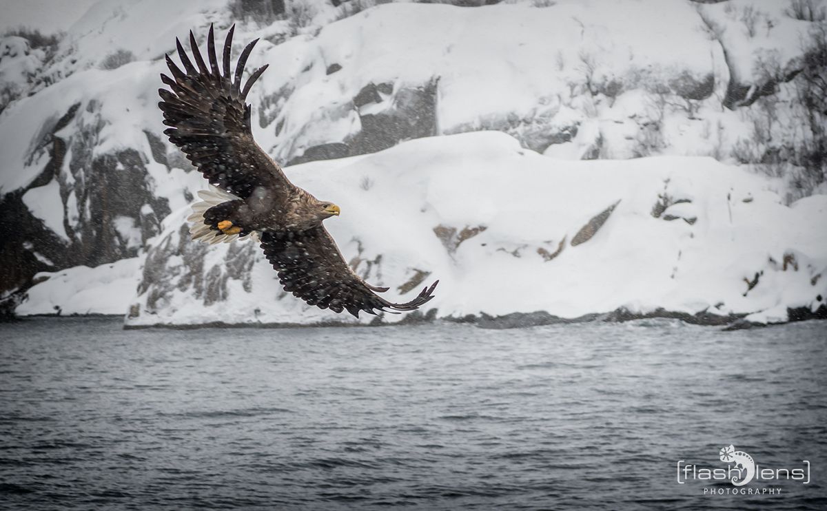 Fotoreise Lofoten 153
