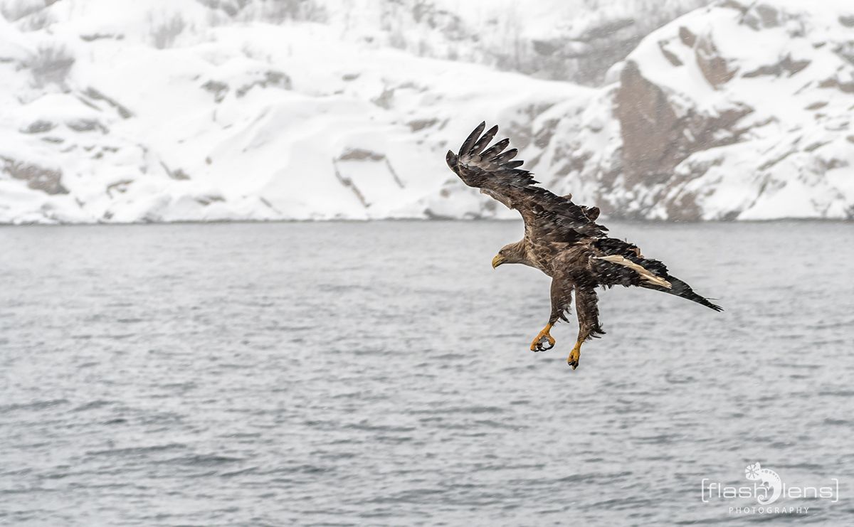 Fotoreise Lofoten 154