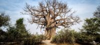 Botswana 2019 007