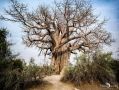 Botswana 2019 008