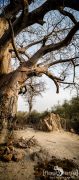 Botswana 2019 010