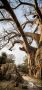 Botswana 2019 011
