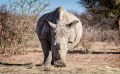 Botswana 2019 013