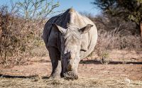 Botswana 2019 013